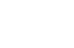 AEIOU Foundation - 10th Anniversary Gala Ball - AEIOU Foundation provides high-quality early intervention for pre-school aged children with an autism diagnosis.